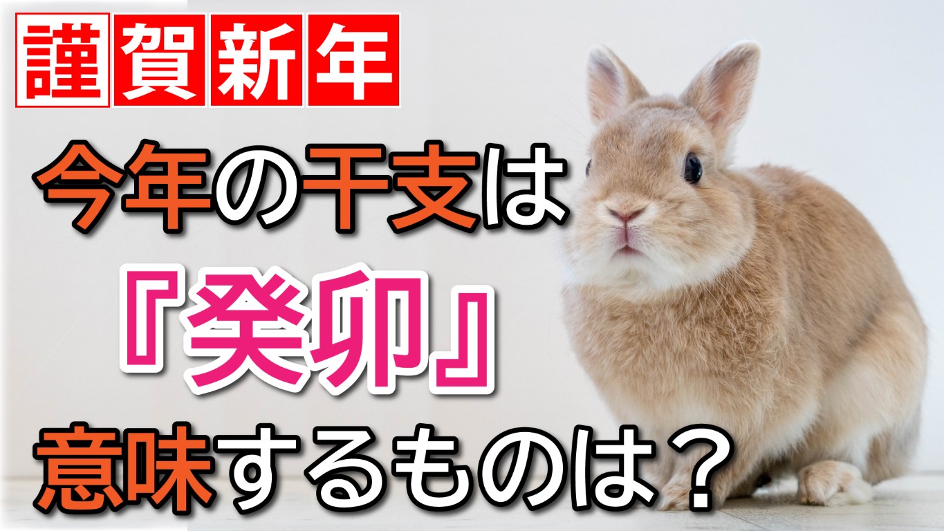謹賀新年】今年の干支『癸卯』が示す意味とは？【練馬区】｜練馬区議会